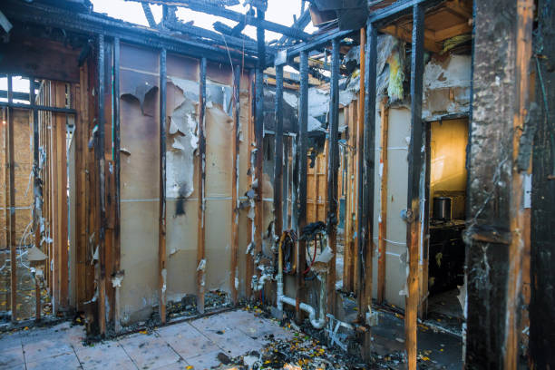 Professional Structural Rebuild technician working in Victoria, MN